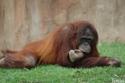 Fuengirola Zoo