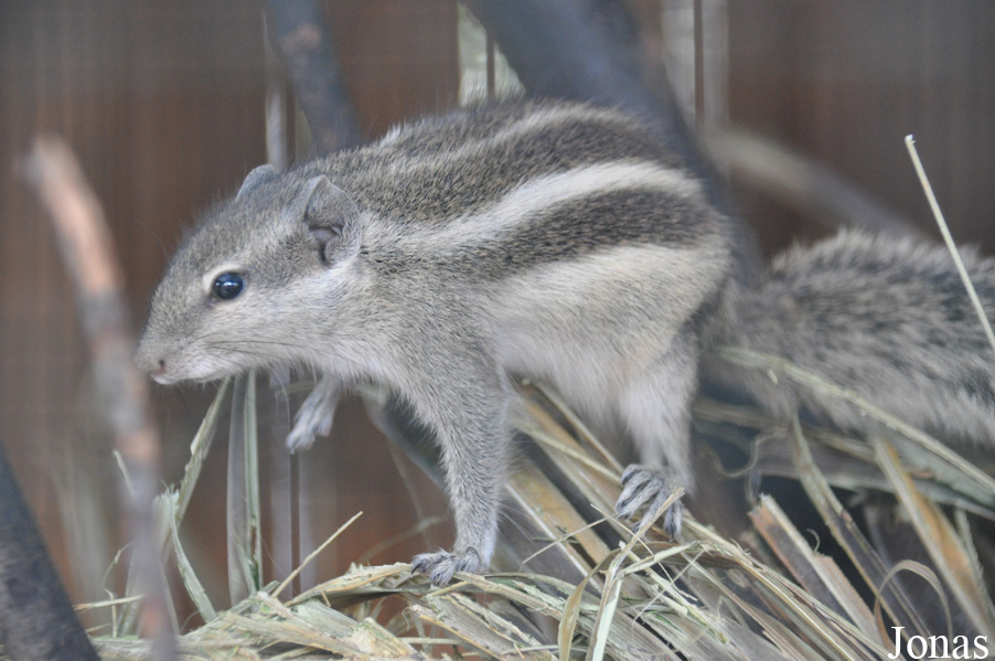 Zoo-Botanical Garden Nahariya