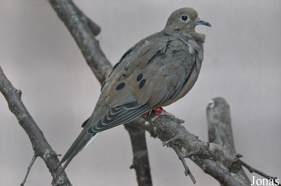 Zoo-Botanical Garden Nahariya