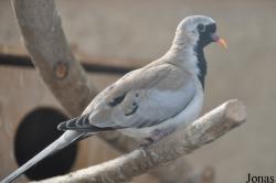 Zoo-Botanical Garden Nahariya