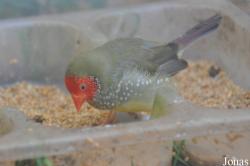Zoo-Botanical Garden Nahariya