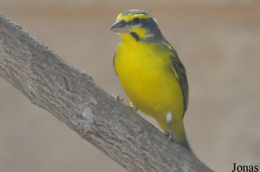 Zoo-Botanical Garden Nahariya