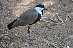 Zoo-Botanical Garden Nahariya