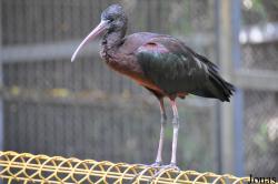 Zoo-Botanical Garden Nahariya