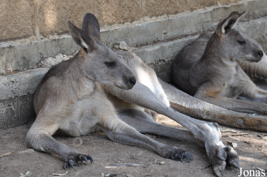 Zoo-Botanical Garden Nahariya