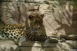 Fuengirola Zoo