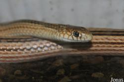 Zoo-Botanical Garden Nahariya