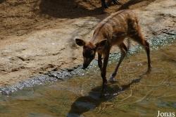 Fuengirola Zoo