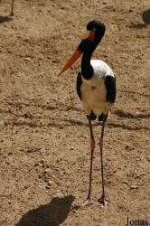 Fuengirola Zoo