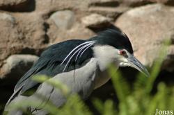 Fuengirola Zoo
