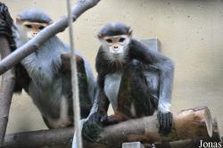Kölner Zoo