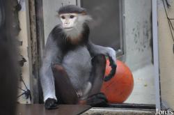 Kölner Zoo
