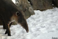 Zoo Wuppertal