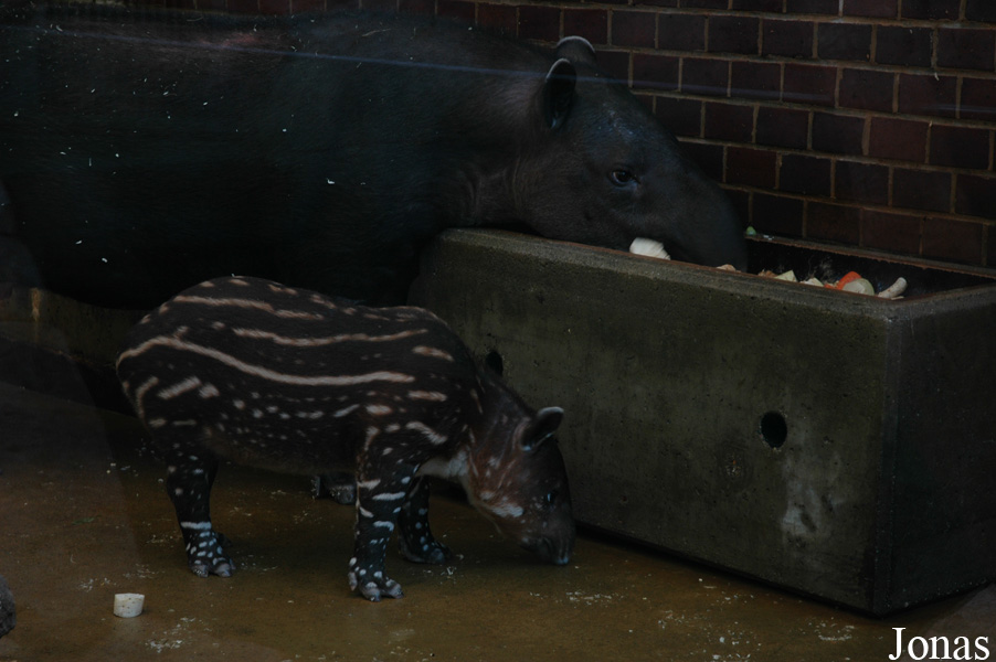 Zoo Wuppertal