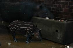 Zoo Wuppertal