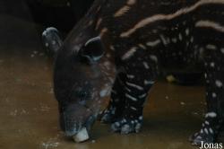 Zoo Wuppertal