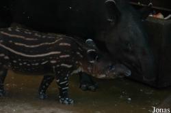 Zoo Wuppertal