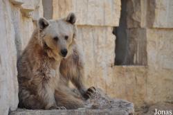 The Tisch Family Zoological Gardens in Jerusalem