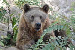 The Tisch Family Zoological Gardens in Jerusalem