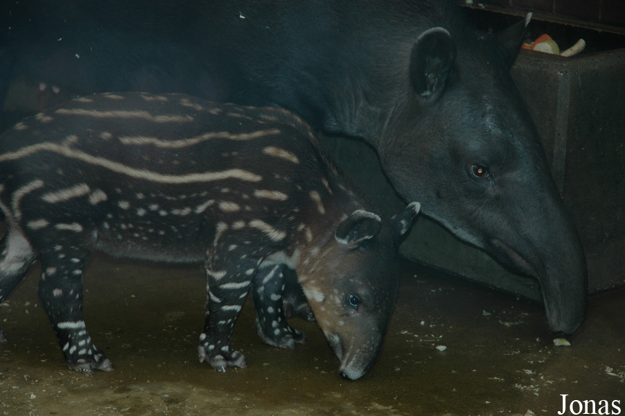 Zoo Wuppertal