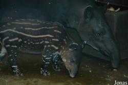 Zoo Wuppertal