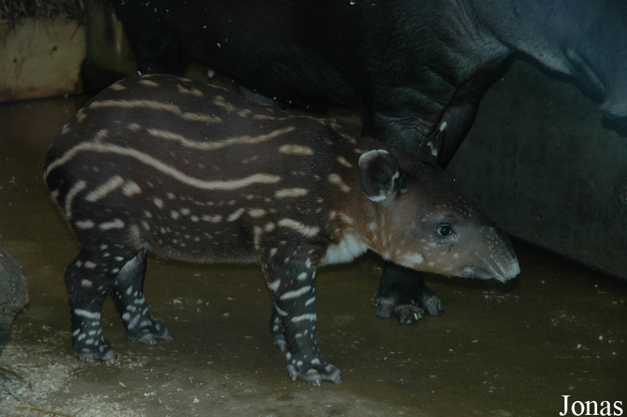 Zoo Wuppertal