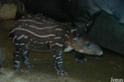 Zoo Wuppertal