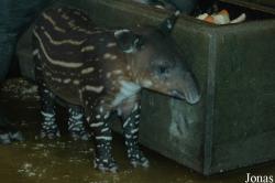 Zoo Wuppertal
