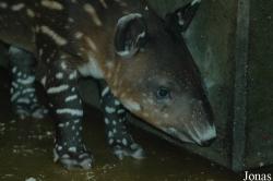 Zoo Wuppertal