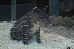Zoo Wuppertal