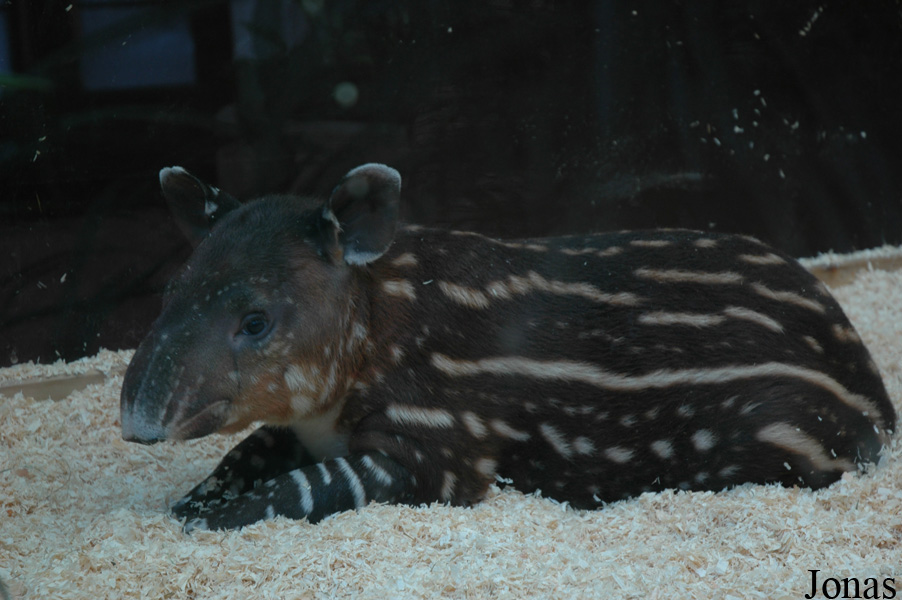 Zoo Wuppertal
