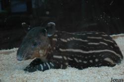Zoo Wuppertal