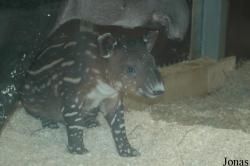 Zoo Wuppertal