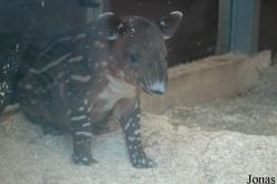 Zoo Wuppertal