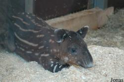 Zoo Wuppertal