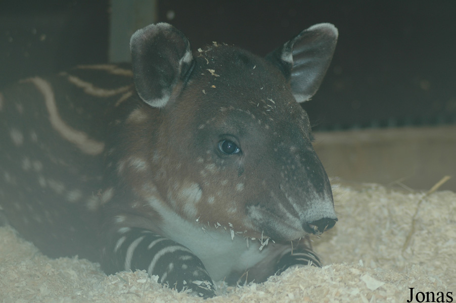 Zoo Wuppertal