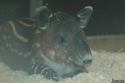 Zoo Wuppertal