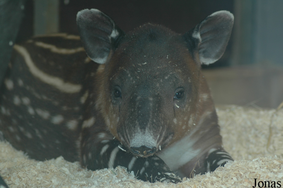 Zoo Wuppertal