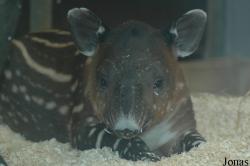 Zoo Wuppertal