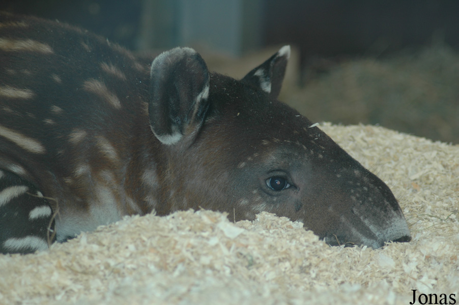 Zoo Wuppertal