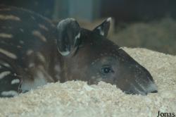 Zoo Wuppertal