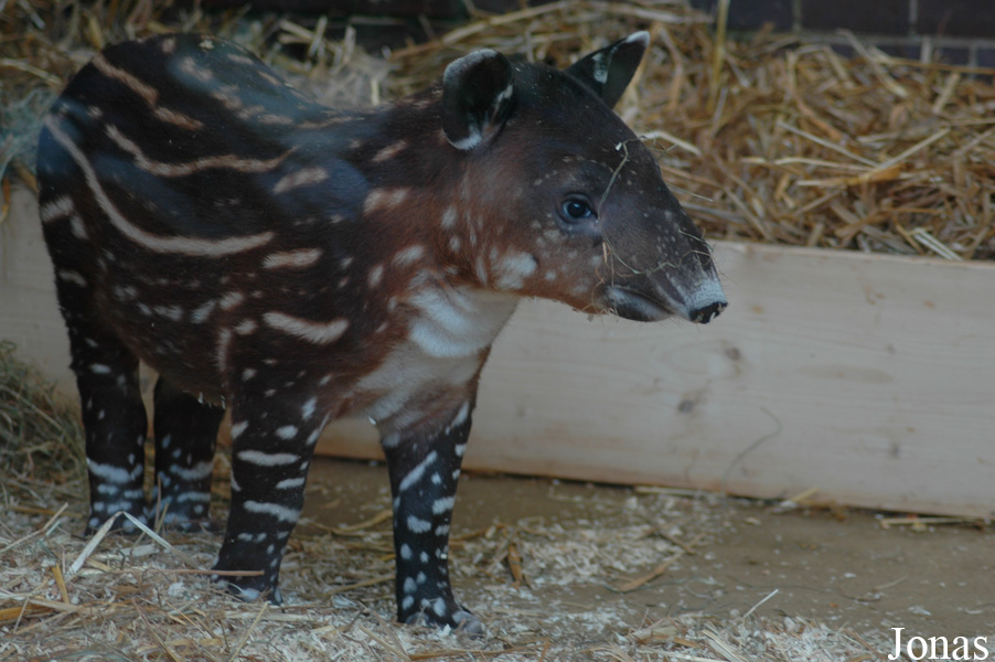 Zoo Wuppertal