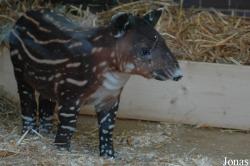 Zoo Wuppertal