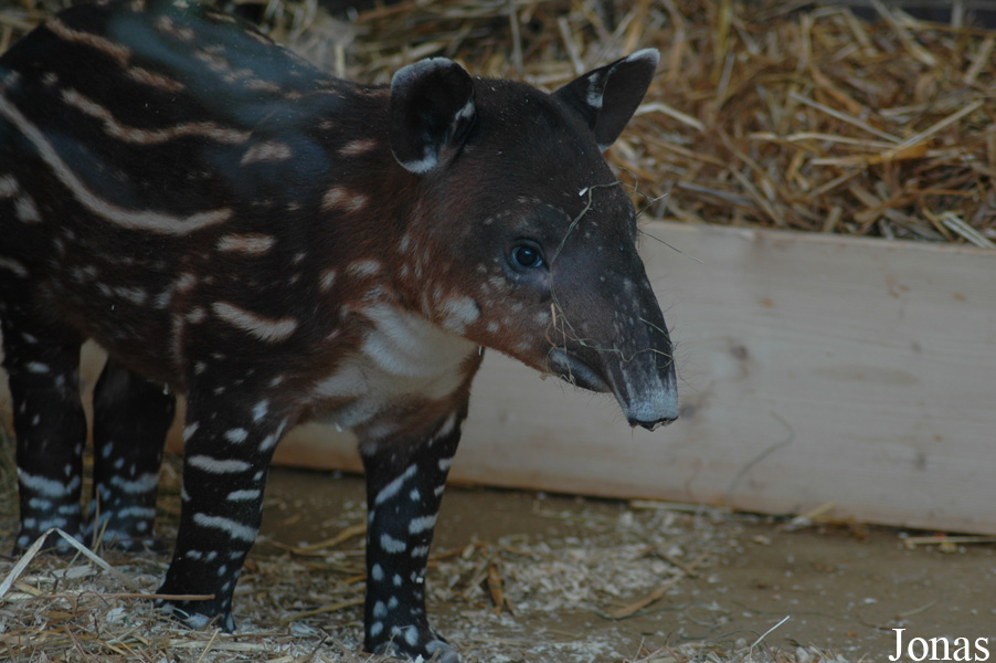 Zoo Wuppertal