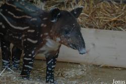 Zoo Wuppertal