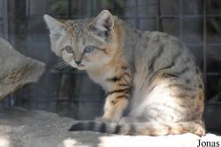 Zoological Center Tel Aviv-Ramat Gan