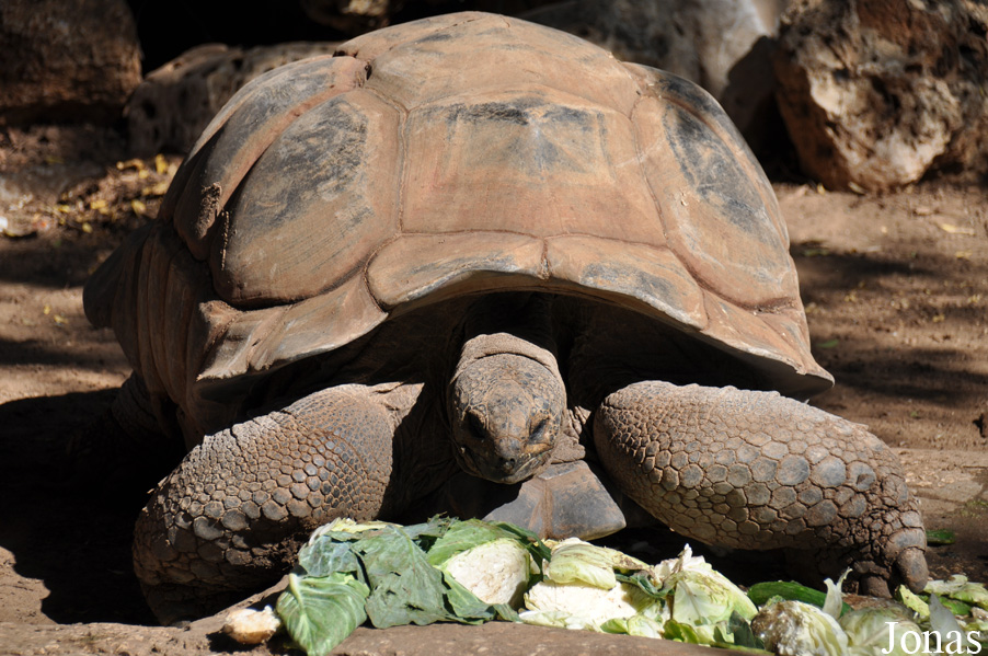 Zoological Center Tel Aviv-Ramat Gan