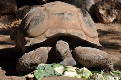Zoological Center Tel Aviv-Ramat Gan