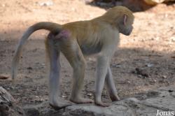 Zoological Center Tel Aviv-Ramat Gan