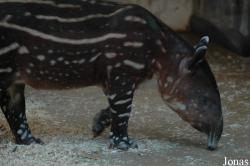 Zoo Wuppertal